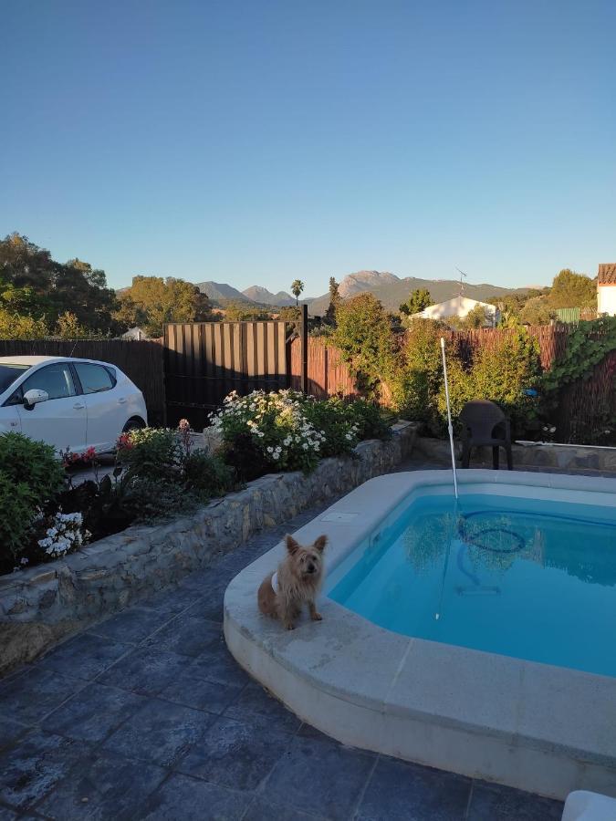Vivienda Rural Sierra De Cadiz, Cabeza Del Rey Villa Prado Del Rey Dış mekan fotoğraf